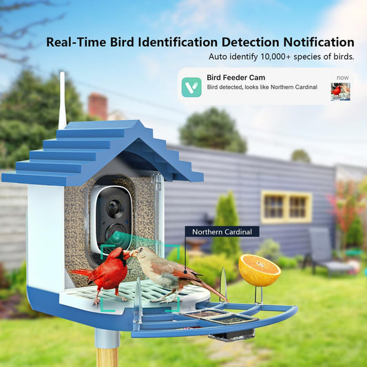 2K Smart Bird Feeders with Camera Solar Powered, Instant Bird Identify Notification, Live View, Squirrel Proof, Auto Capture and Record Videos, for Family and Bird Lovers