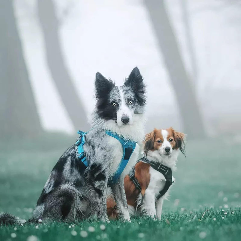 TRUE LOVE Adjustable No-Pull Dog Harness Reflective Vest, Blue, XS | Front Clip, No-Choke, Soft Padded, Control Handle, anti Escape, Dog Car Harness, Walking and Training, Escape Proof, TLH5651