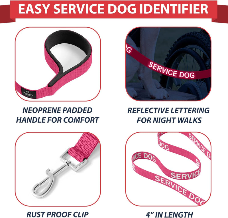 Service Dog Vest with Hook and Loop Straps & Matching Leash Set - Harnesses from XXS to XXL - Service Dog Harness Features Reflective Patch and Comfortable Mesh Design (Pink, XXS) | Durable & Adjustable Vest for Dog, Reflective Straps, Removable Patches,
