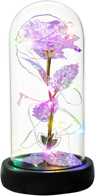 Valentines Day Gifts,Beauty and the Beast Rose,Preserved Flowers Gifts,Light up Rose Flower in Glass Dome,Birthday Gifts for Women,Mom,Girlfriend Wife Anniversary,Valentines (24K Colorful Rose)