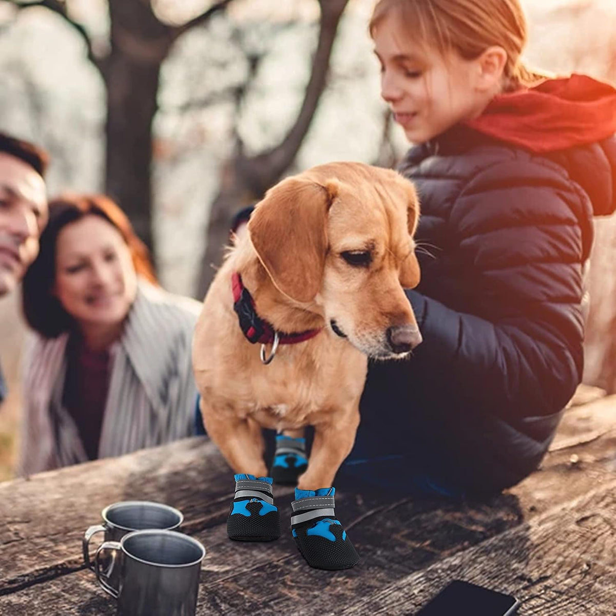 Dog Boots, Set of 4 Waterproof Dog Shoes with Reflective Straps Anti-Slip Sole Outdoor Paw Protectors Puppy Shoes for Small Medium Dogs Autumn Winter (Blue, L)