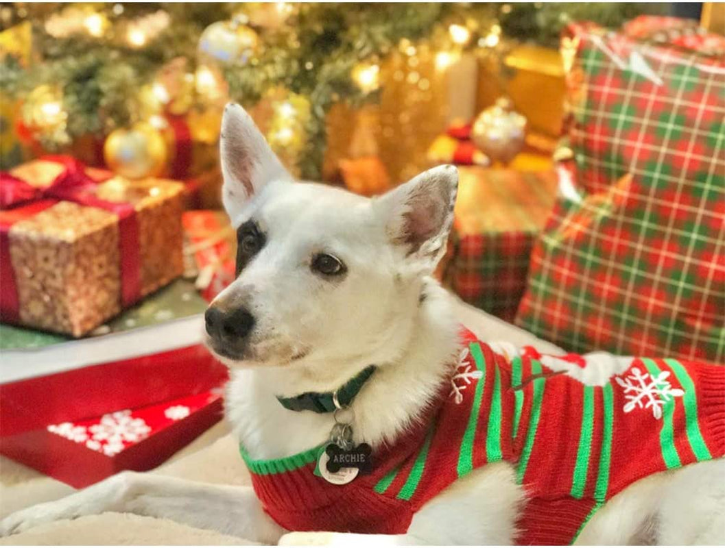 NACOCO Dog Snowman Sweater - Xmas, New Year & Christmas Sweater for Small Dog & Cat (Snowman, XXL)