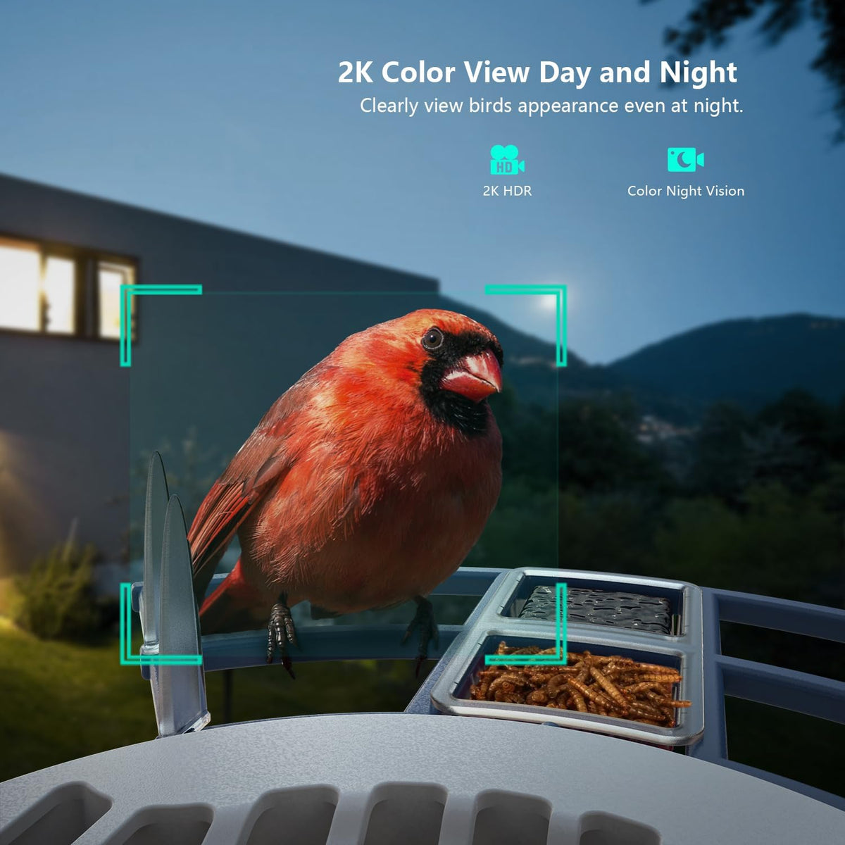 2K Smart Bird Feeders with Camera Solar Powered, Instant Bird Identify Notification, Live View, Squirrel Proof, Auto Capture and Record Videos, for Family and Bird Lovers