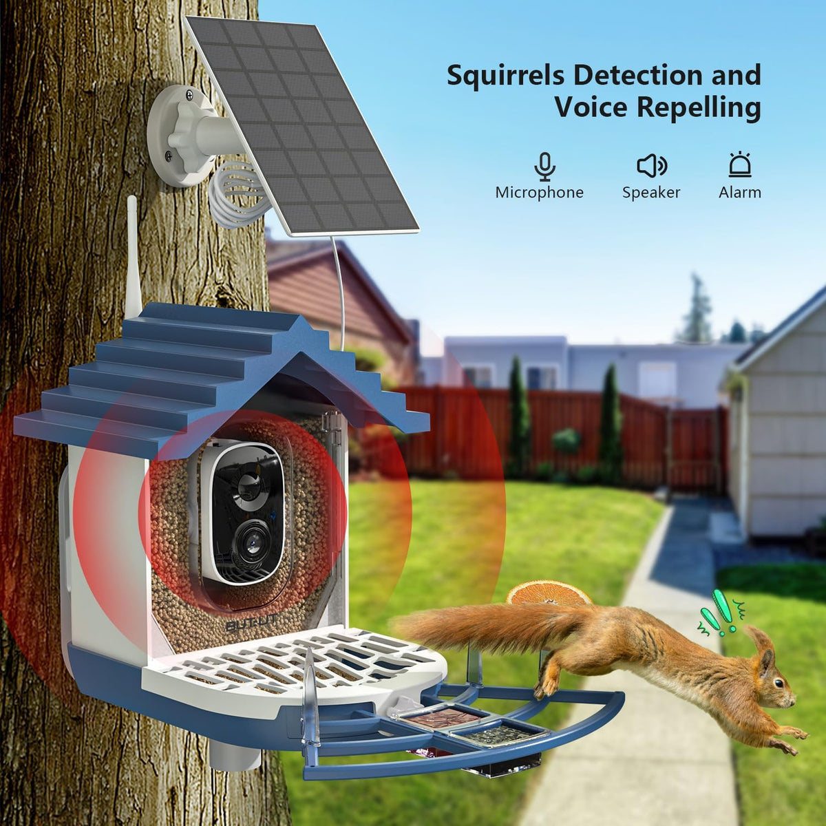2K Smart Bird Feeders with Camera Solar Powered, Instant Bird Identify Notification, Live View, Squirrel Proof, Auto Capture and Record Videos, for Family and Bird Lovers