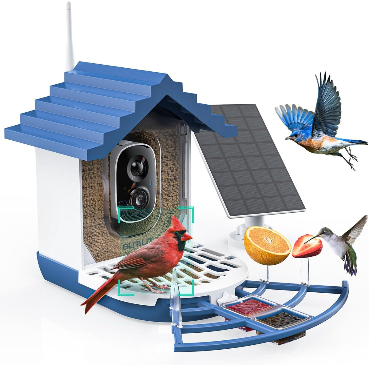 2K Smart Bird Feeders with Camera Solar Powered, Instant Bird Identify Notification, Live View, Squirrel Proof, Auto Capture and Record Videos, for Family and Bird Lovers