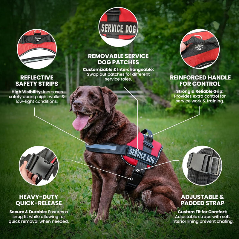 Service Dog Vest with Hook and Loop Straps & Matching Leash Set - Harnesses from XXS to XXL - Service Dog Harness Features Reflective Patch and Comfortable Mesh Design (Pink, XXS) | Durable & Adjustable Vest for Dog, Reflective Straps, Removable Patches,
