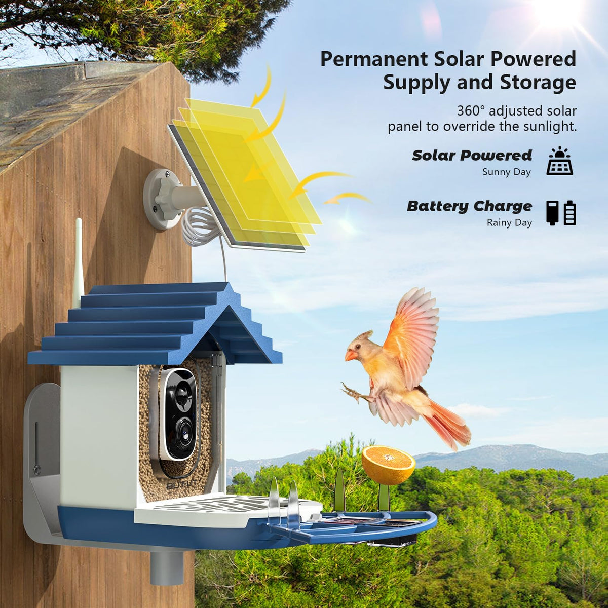 2K Smart Bird Feeders with Camera Solar Powered, Instant Bird Identify Notification, Live View, Squirrel Proof, Auto Capture and Record Videos, for Family and Bird Lovers