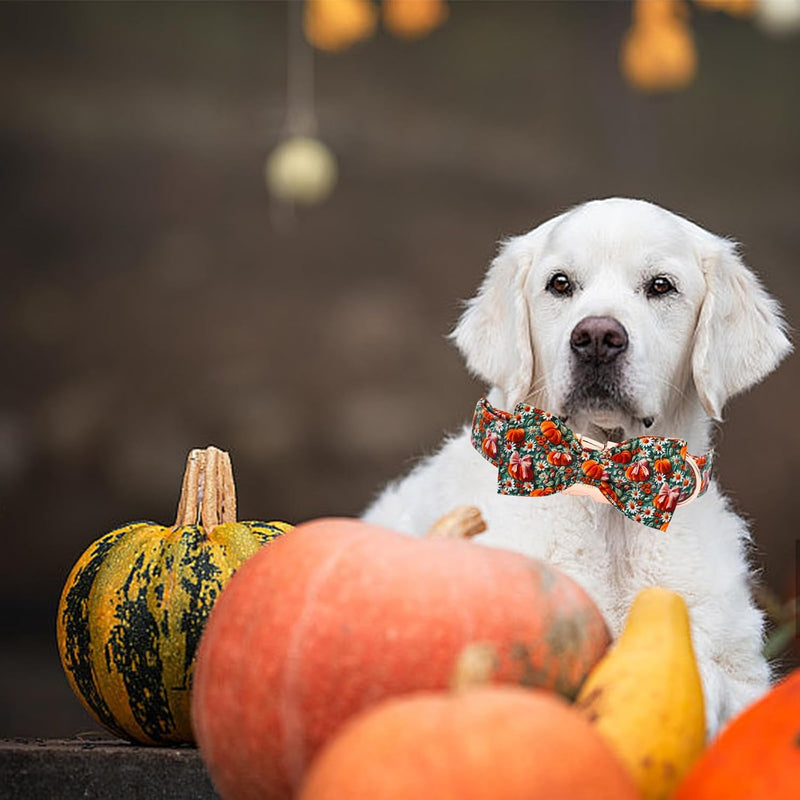 Elegant Little Tail Fall Dog Collar, Halloween Pet Collars with Bow Cute Flower Pumpkin Print Puppy Collar Female or Male Cotton Adjustable Collars for Small Medium Large Dogs