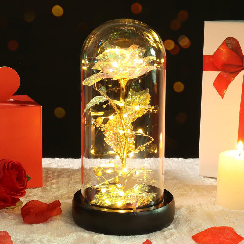 Valentines Day Gifts,Beauty and the Beast Rose,Preserved Flowers Gifts,Light up Rose Flower in Glass Dome,Birthday Gifts for Women,Mom,Girlfriend Wife Anniversary,Valentines (24K Colorful Rose)