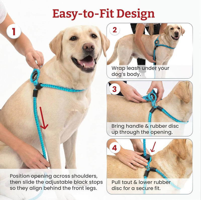 Harness Lead No Pull Dog Harness and Leash Set, anti Pull Dog Harness for All Breeds and Sizes, One-Piece Cushioned Rope Design Safely Prevents Escaping and Pulling (Small/Medium, Orange/Reflective)