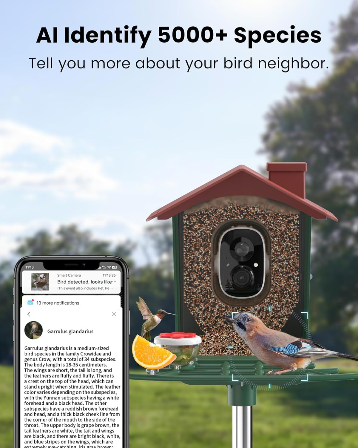 Smart Bird Feeder with Camera Outdoor: Solar Birdfeeder Cam for outside Garden - 2K HD Live Video Camera AI Recognition Visible Window Auto Capture - Bird Lover Gifts