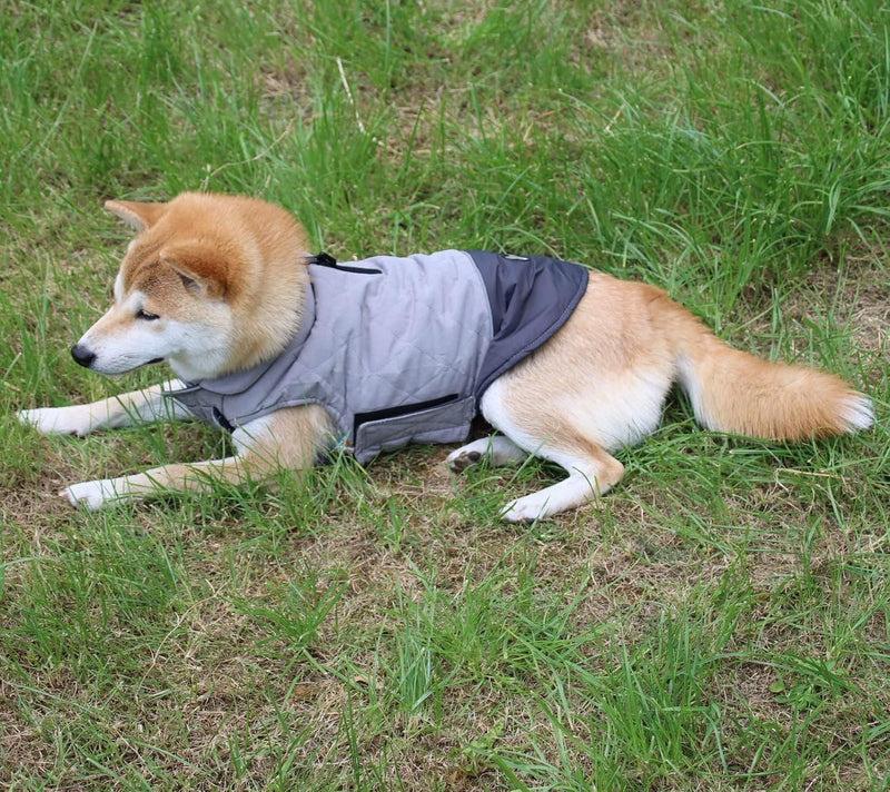 Vecomfy Reversible Dog Coat for Small Dogs with 2 Leash Openings | Reversible Dog Jacket with Dual Leash Openings, Warm Winter Coat for Cold Weather Walks,Grey,S