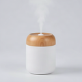 USB Rechargeable Mini Portable Humidifier 3-in-1