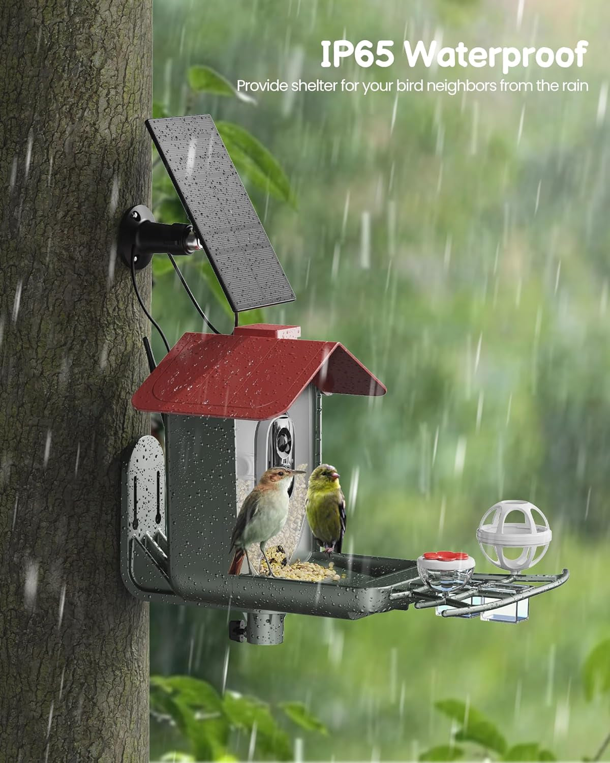 Smart Bird Feeder with Camera Outdoor: Solar Birdfeeder Cam for outside Garden - 2K HD Live Video Camera AI Recognition Visible Window Auto Capture - Bird Lover Gifts
